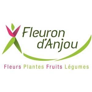 Fleuron d